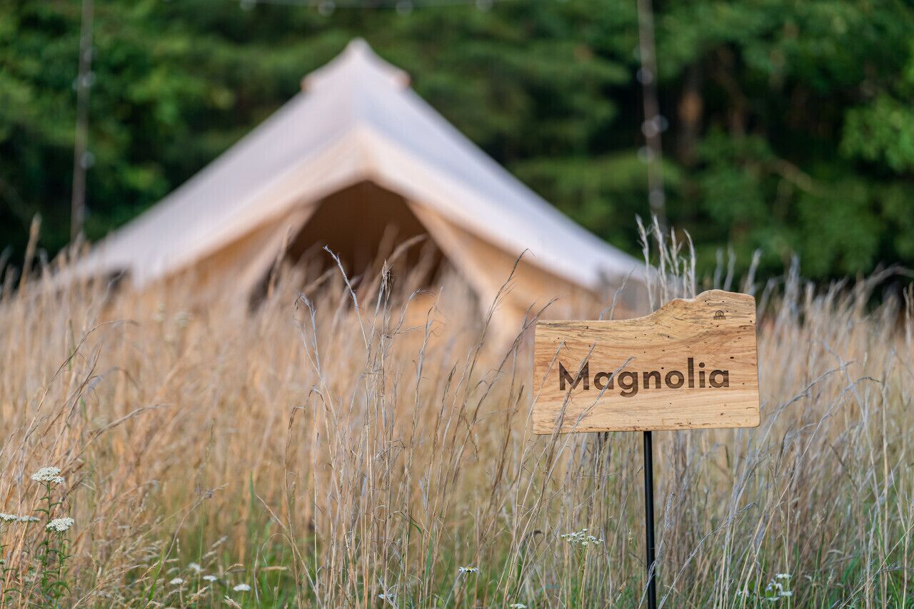 Magical Views at Cacapon Mountain - Magnolia