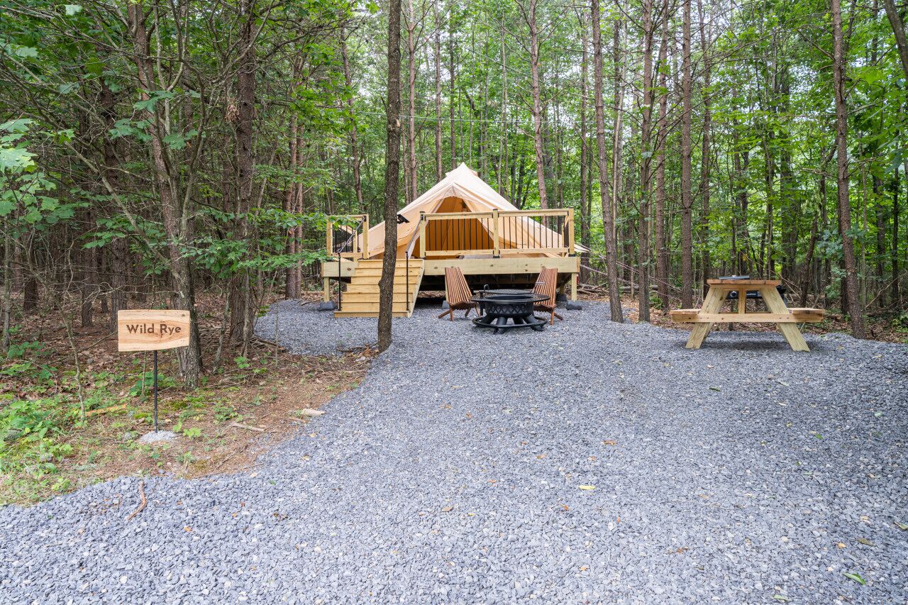 Secluded Canvas Tent Nestled in the Trees