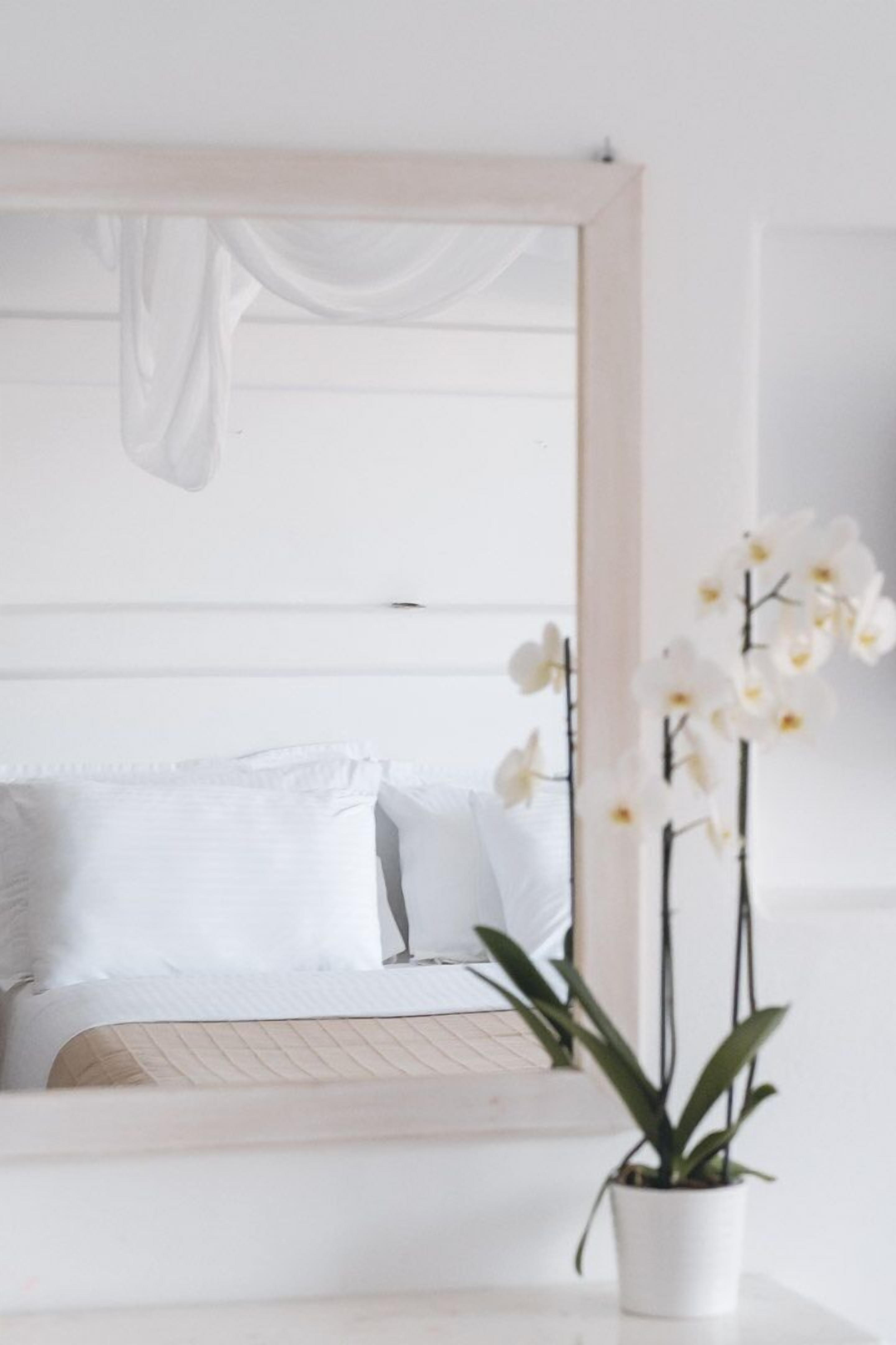 Foto - Harmony Hotel