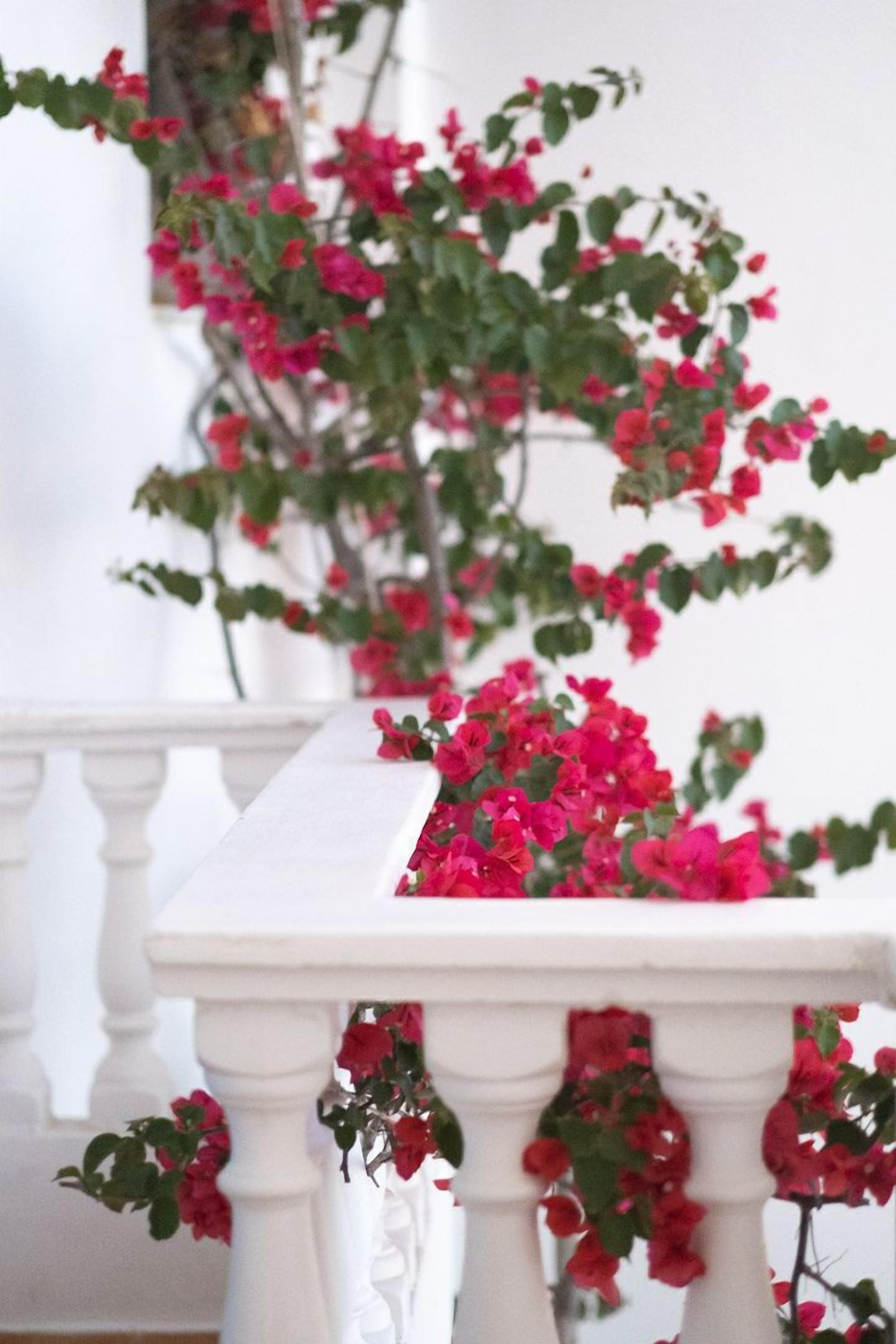 Foto - Harmony Hotel