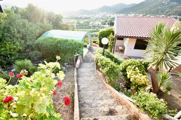 المنطقة المحيطة بالمنشأة