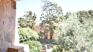 Un muro de piedra, un árbol y un edificio al fondo.