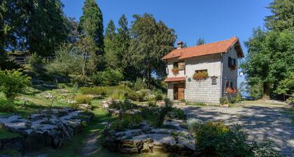 Brighty Rainbow House Garden