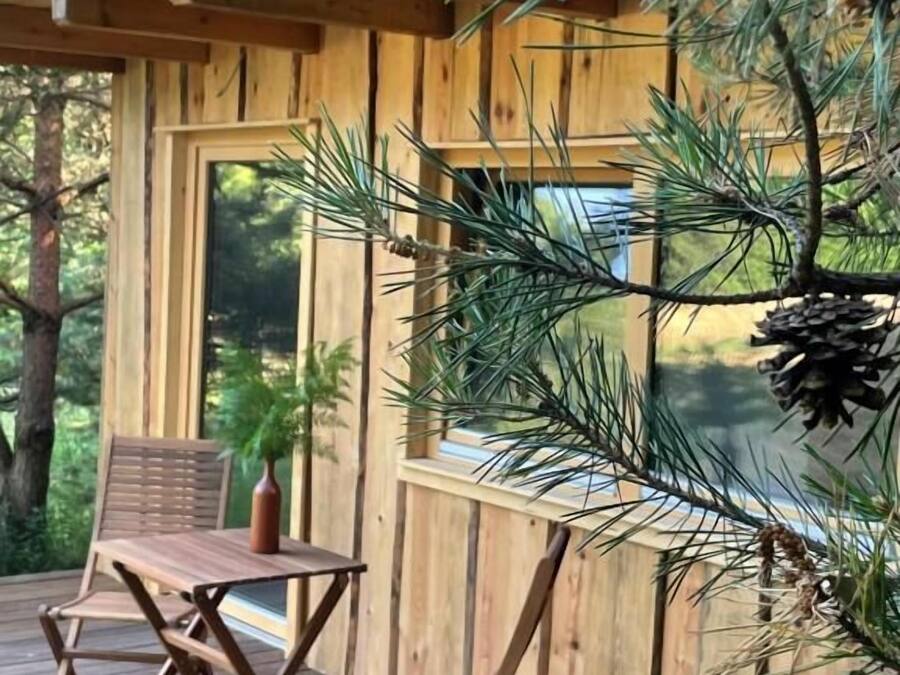 Chalet Confort | Terraza o patio