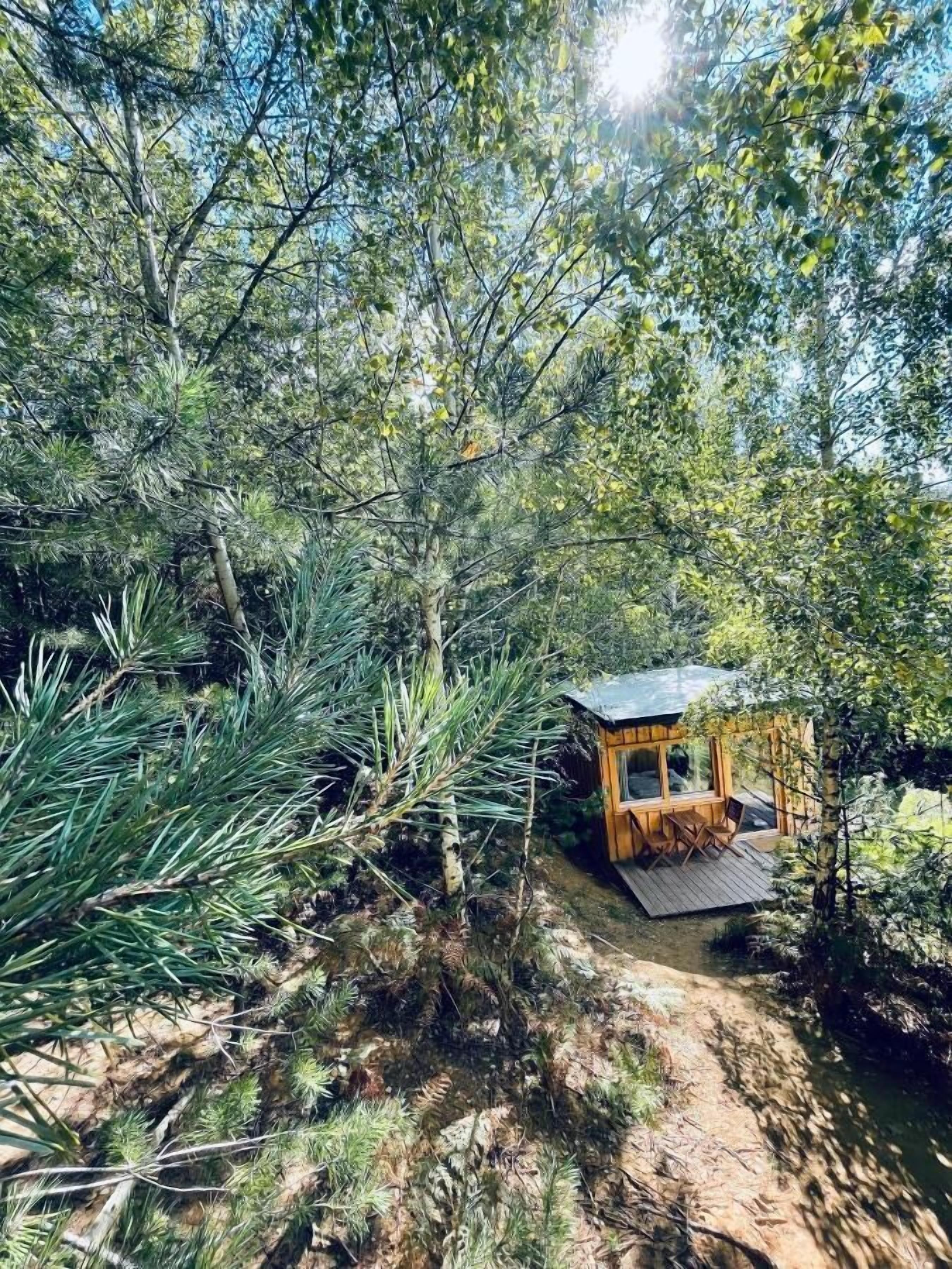 A secluded wooden cabin surrounded by dense forest, with a clear path leading to it.
