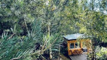 A secluded wooden cabin surrounded by dense forest, with a clear path leading to it.