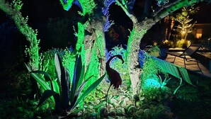 A garden with illuminated plants and a peacock statue.