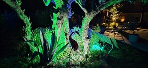 Property grounds - Vacances en Occitanie au Pied du Canigo (Vernet-les-Bains)