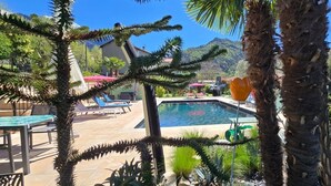 A pool area with lounge chairs, palm trees, and a mountain backdrop.