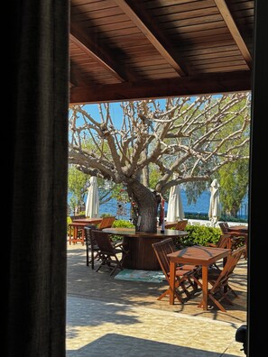 Standard Single Room | Premium bedding, minibar, cribs/infant beds, free WiFi - Yüksel Pansiyon (Bodrum)