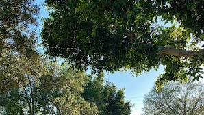 Unclassified image, 2 of 40, button - Yüksel Pansiyon (Bodrum)