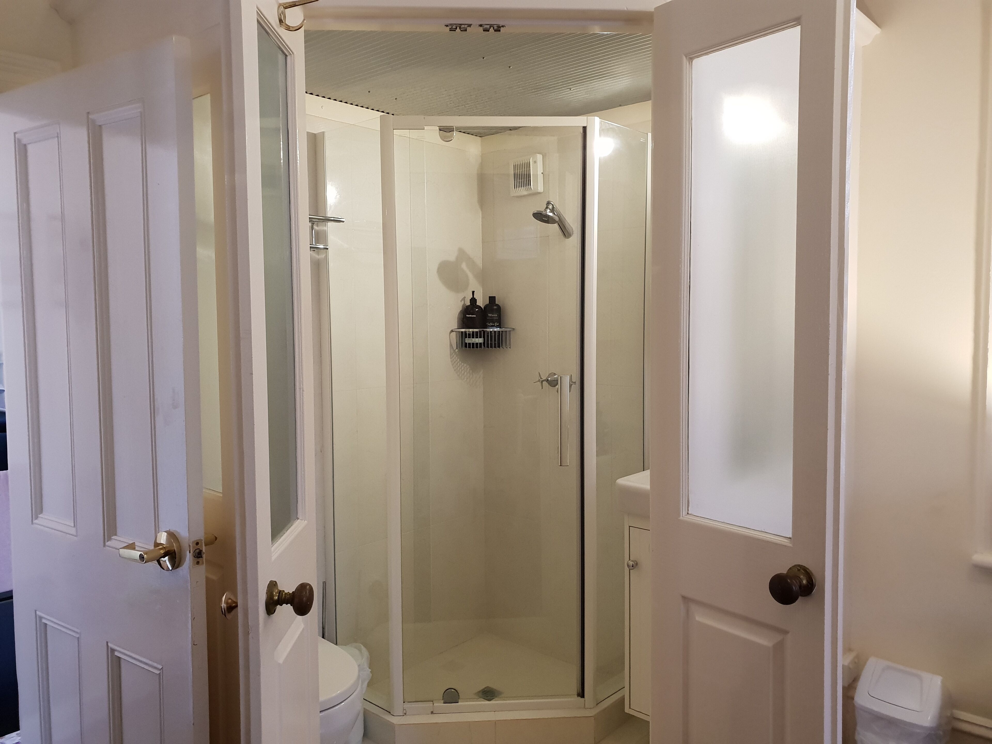 Shower, hair dryer, towels, shampoo