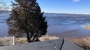 A view of a lake with a tree in the foreground and a clear sky. - 2-Bedroom Apt Sleeps 7! - 1/4 mile to Beach! (Hampton)