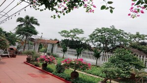 Un jardin avec une clôture blanche, des plantes en pot et un chemin dallé.