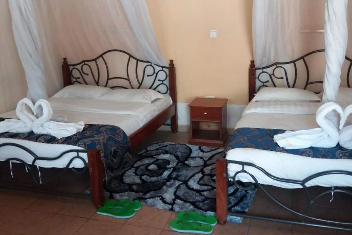Standaard kamer, 1 twee- of 2 eenpersoonsbedden | Gratis wifi