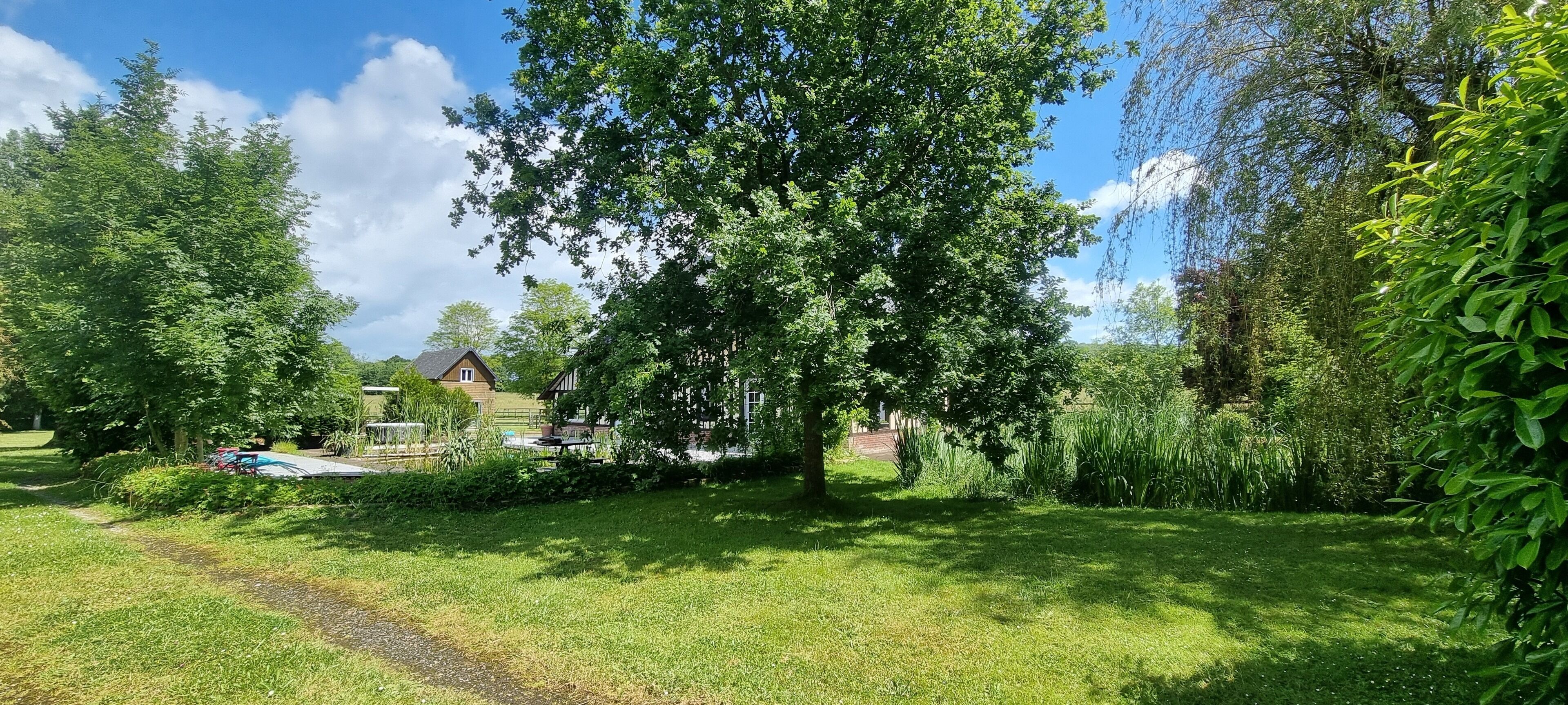 A lush garden with a large tree, a pathway, and a house in the background.