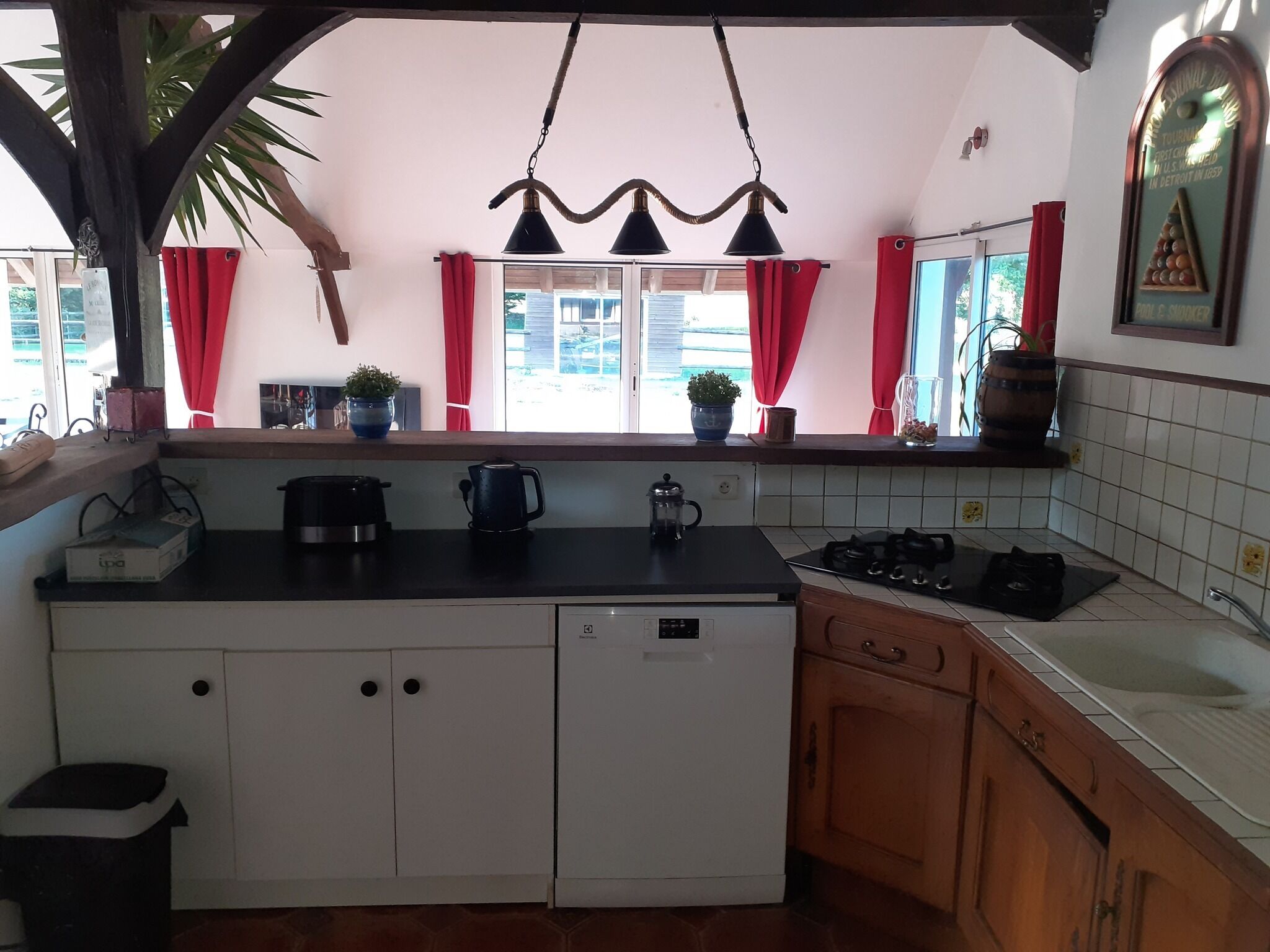 A compact kitchen with white cabinets, a black countertop, a stove, and a dishwasher. There are red curtains, a potted plant, and a hanging light fixture.
