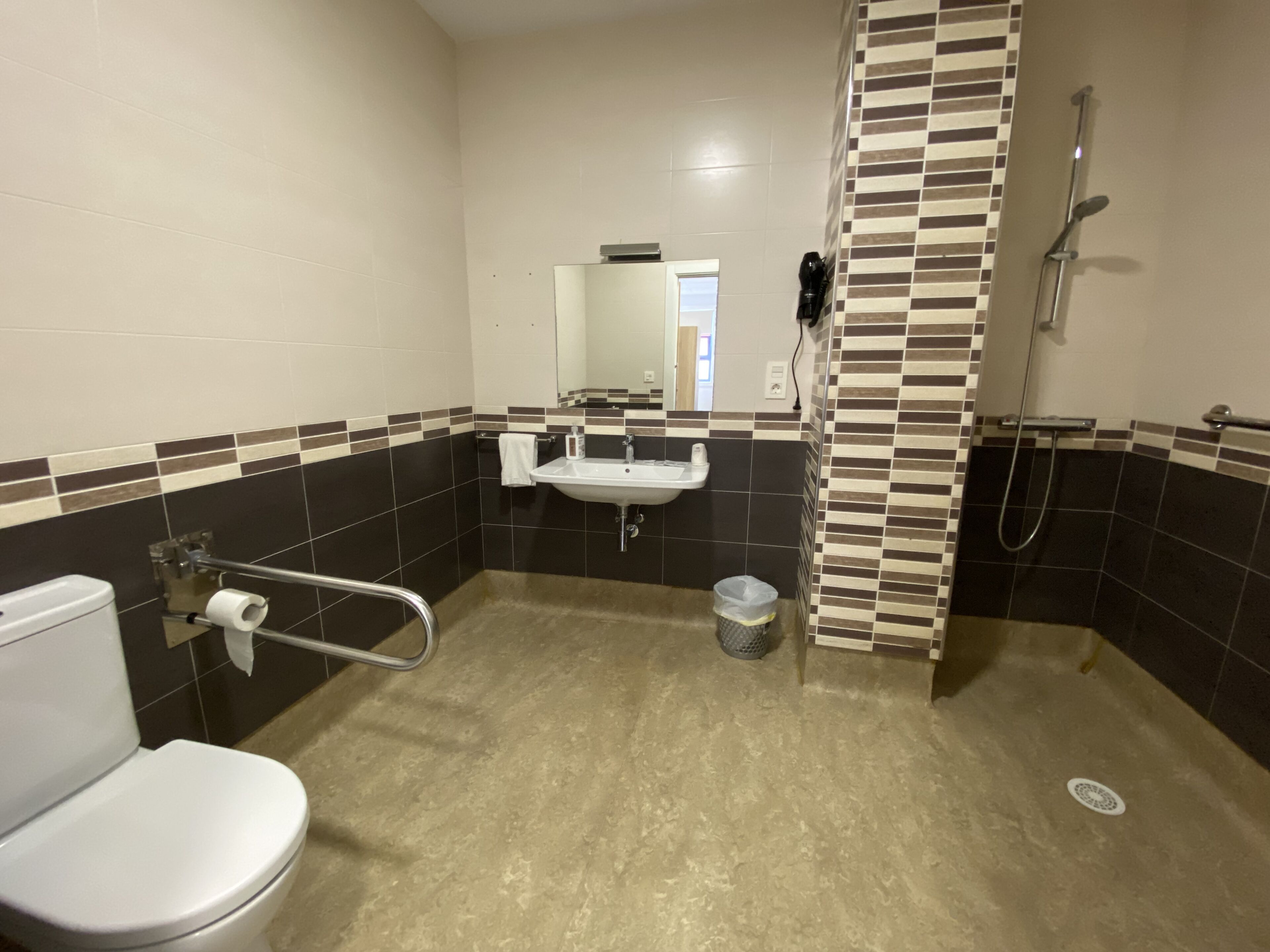 A bathroom with a white toilet, a sink, a shower, and a handrail.
