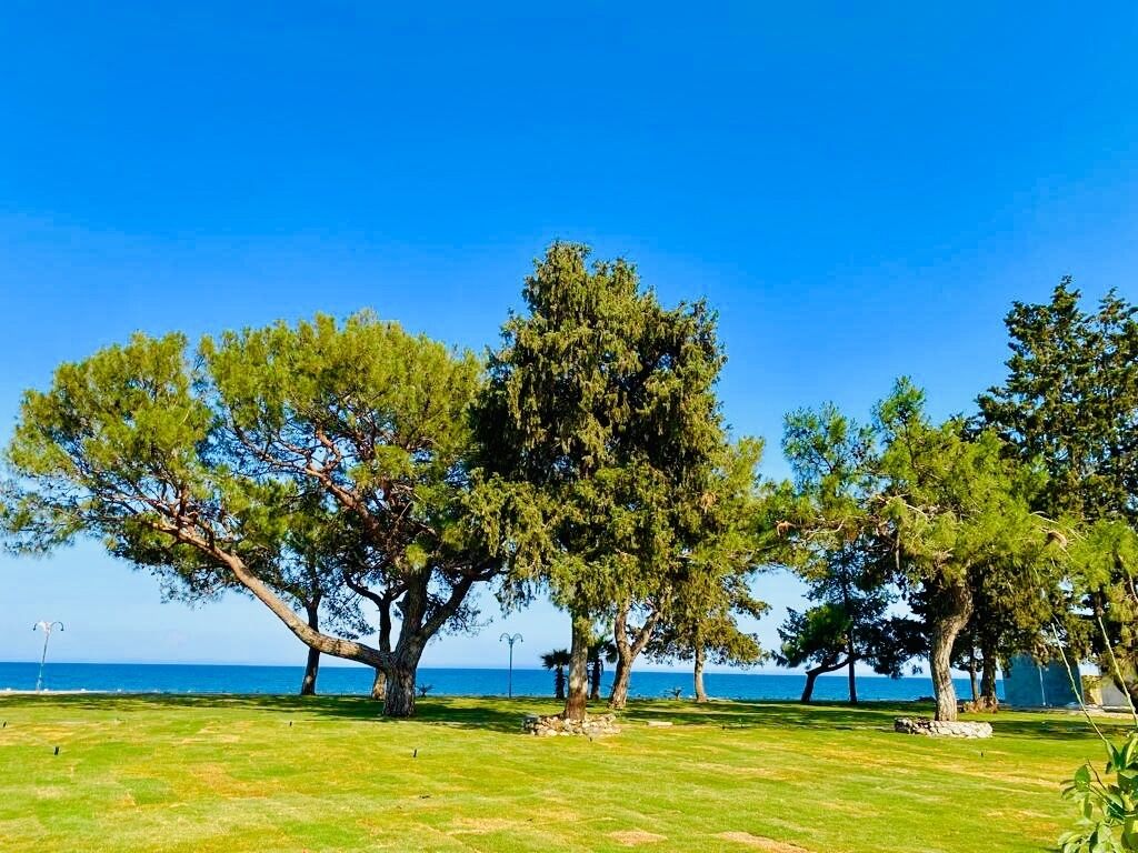 Foto - Garden Bungalows and Suites