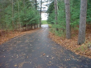Explore the serene forest surroundings along this winding path, lined with tall trees.
