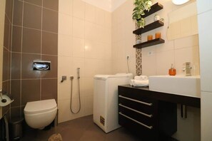 Shower, hair dryer, towels, shampoo