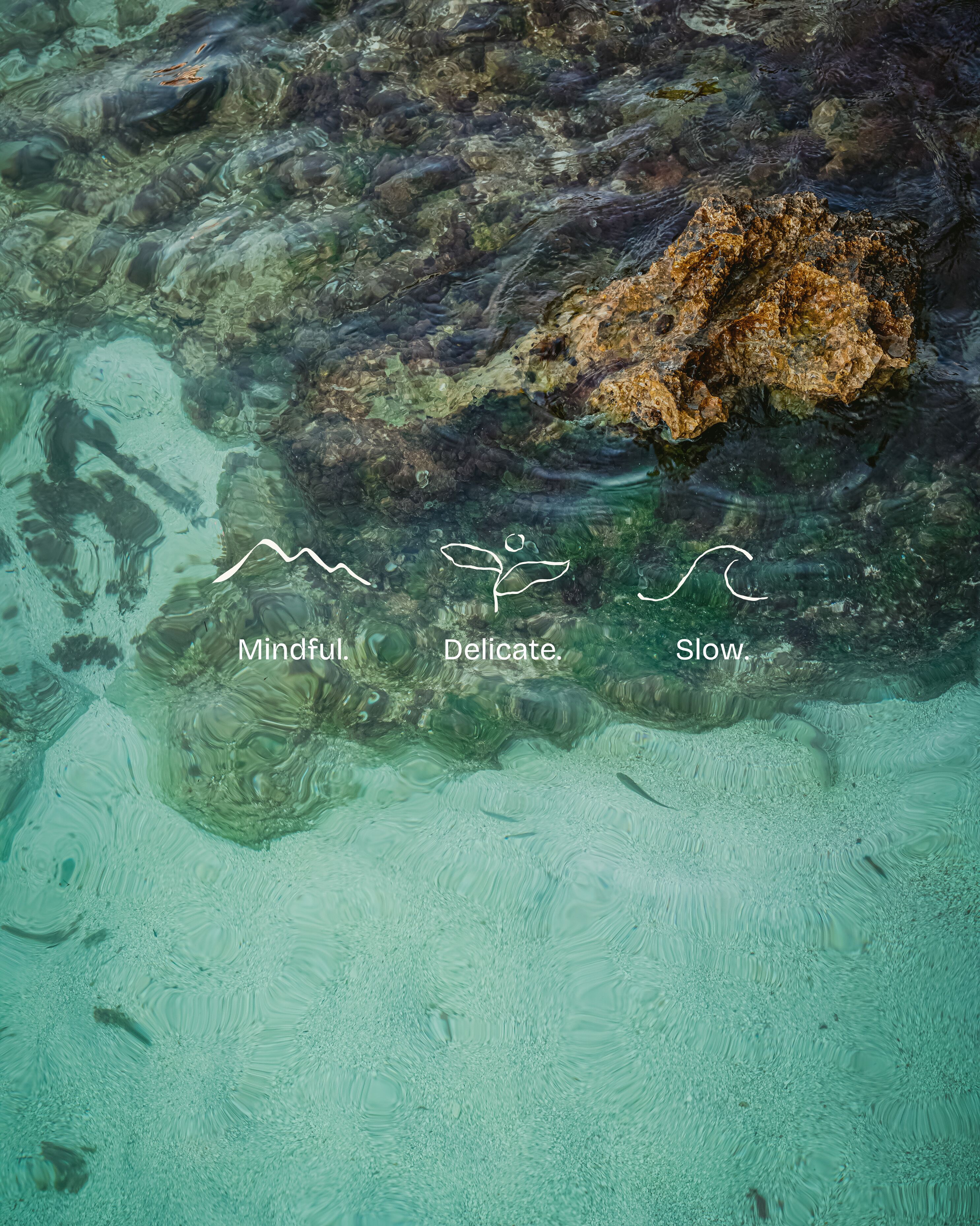 Photo - Hotel Castle