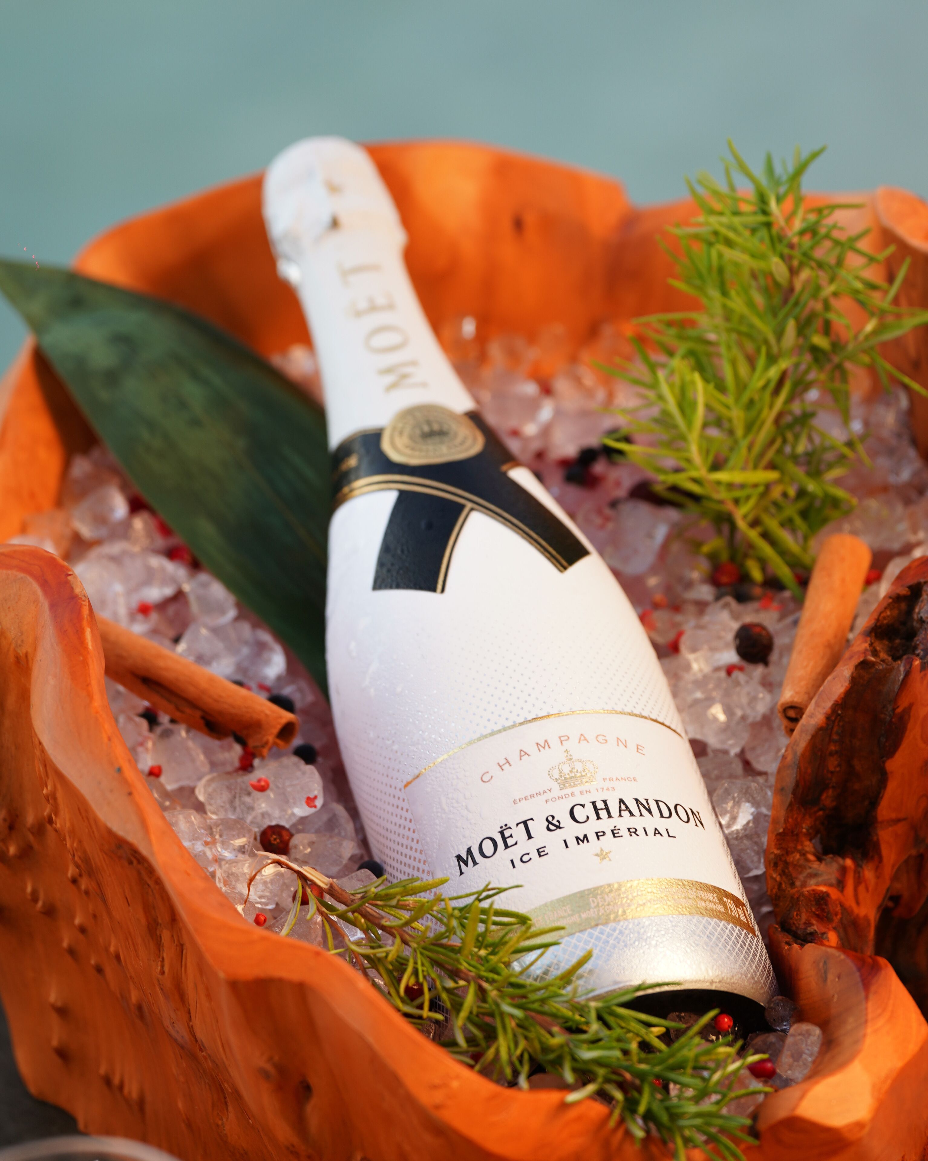 Photo - Hotel Castle