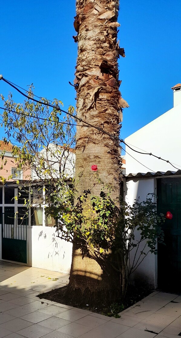 Detalhe da fachada
