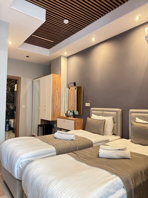 Deluxe Twin Room | Minibar, in-room safe, soundproofing, free WiFi - Fidan City Hotel (Istanbul)