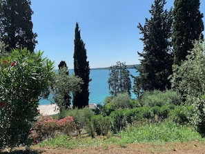 Overnatningsstedets område