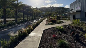 A road lined with palm trees and a modern building with a flat roof. - Luxury Waterfront Villa 431F North Beach (Jolly Harbour)