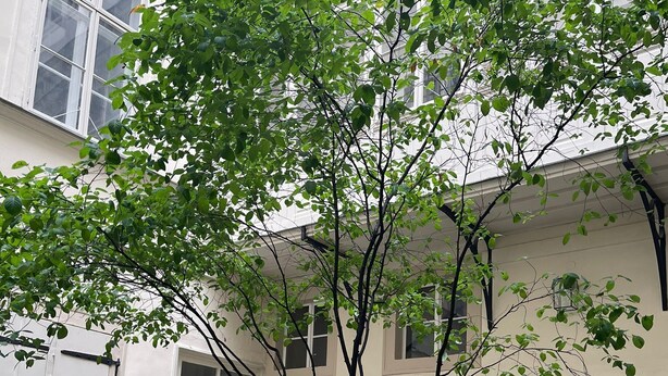Front of property - Ambiente Wohnung am Stephansplatz (Vienna)