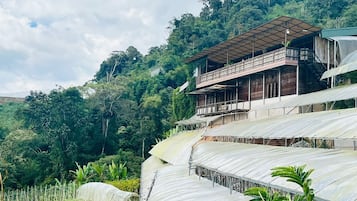 Mendaki batu terbuka