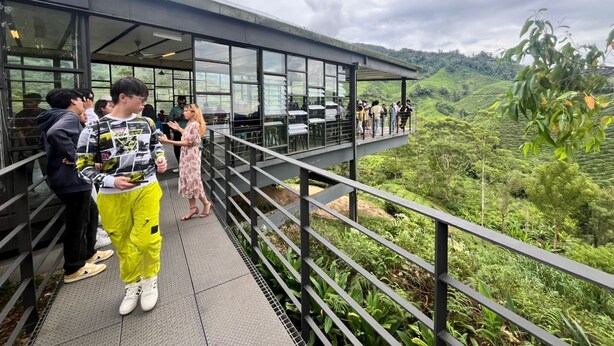 Una terraza panorámica con paredes de vidrio y barandilla de metal, con vistas a un paisaje verde y exuberante.