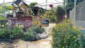 Un invernadero con diversas plantas y flores, una estructura de molino de viento y una persona cuidando las plantas.