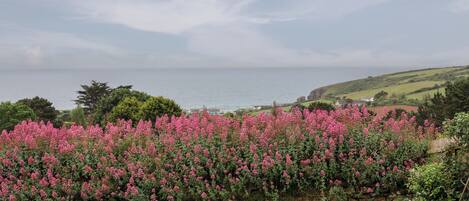 A stone wall with pink flowers in a rural landscape with a view of the sea and hills.