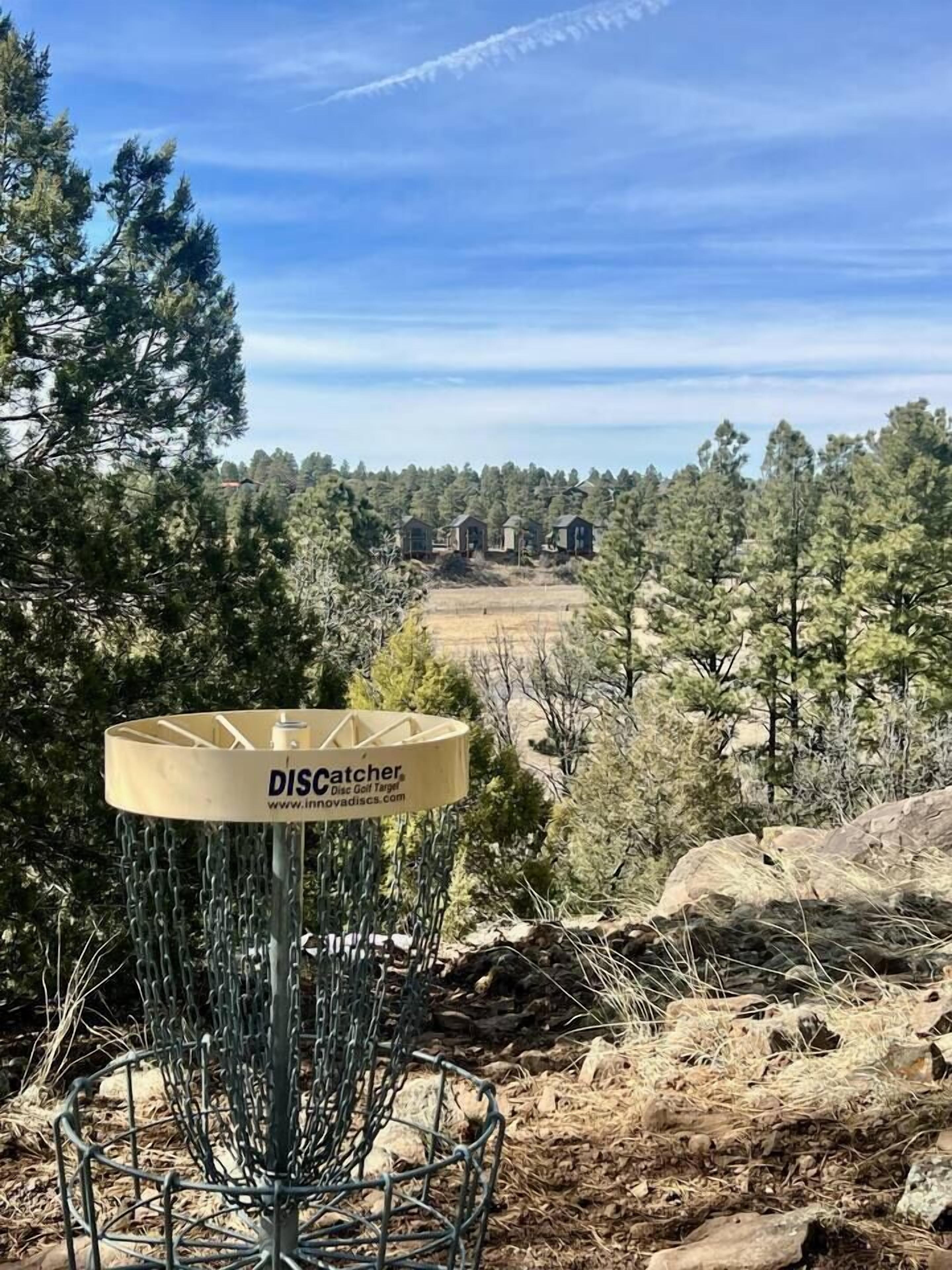 A disc golf target with a chain basket, surrounded by trees and a clear sky.