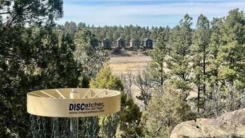A disc golf target with a chain basket, surrounded by trees and a clear sky.