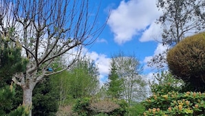 Un jardin avec un chemin de gravier, un banc en bois et divers arbustes et arbres.