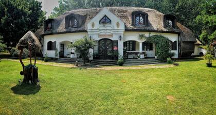 Gedeon Tanya-PanziĂł