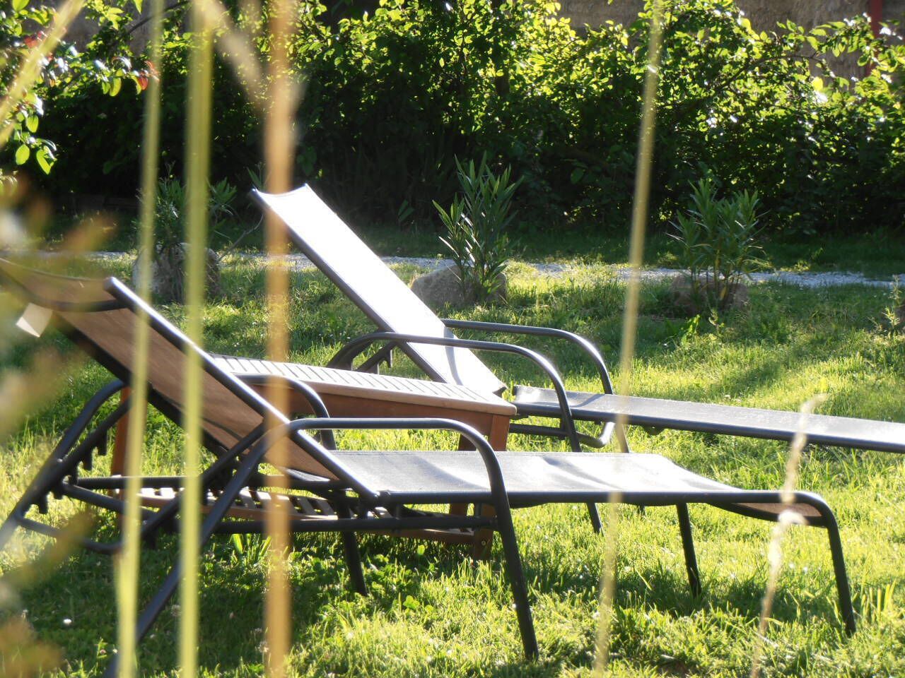 Two lounge chairs in a grassy outdoor area with dense foliage in the background.