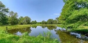 Miscellaneous - Charming cottage, countryside with exotic animals. (Wills Point)