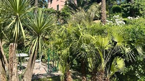 A building surrounded by lush greenery and tall trees. - Incredible villa facing Portofino (Zoagli)