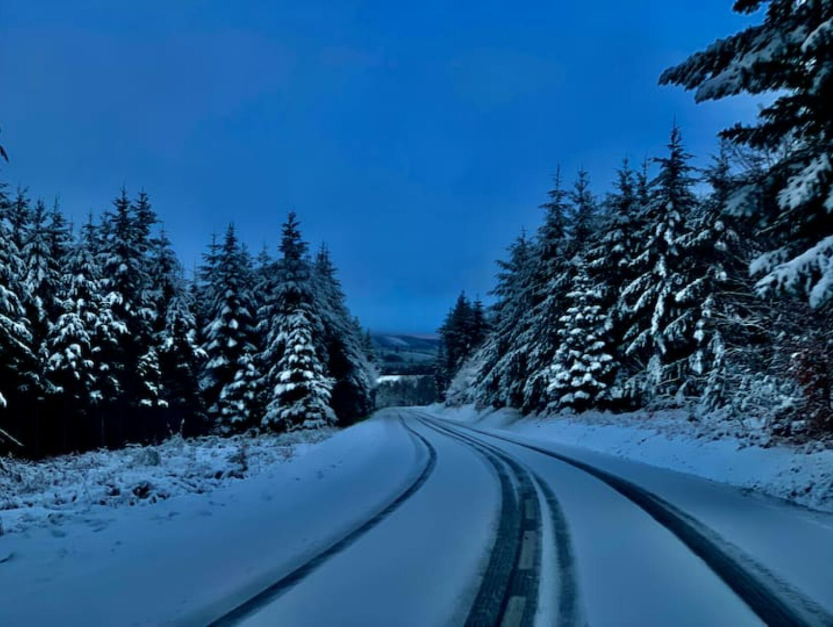 A snow-covered road flanked by evergreen trees.