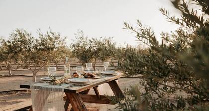 Joshua Tree Olive Farm · Serene Farm Retreat on 5-Acres with Hot Tub