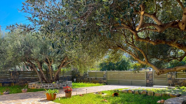 A stone-paved garden with olive trees, a stone wall, and a metal gate. - Elounda Holidays Argyro (Schisma Elountas)
