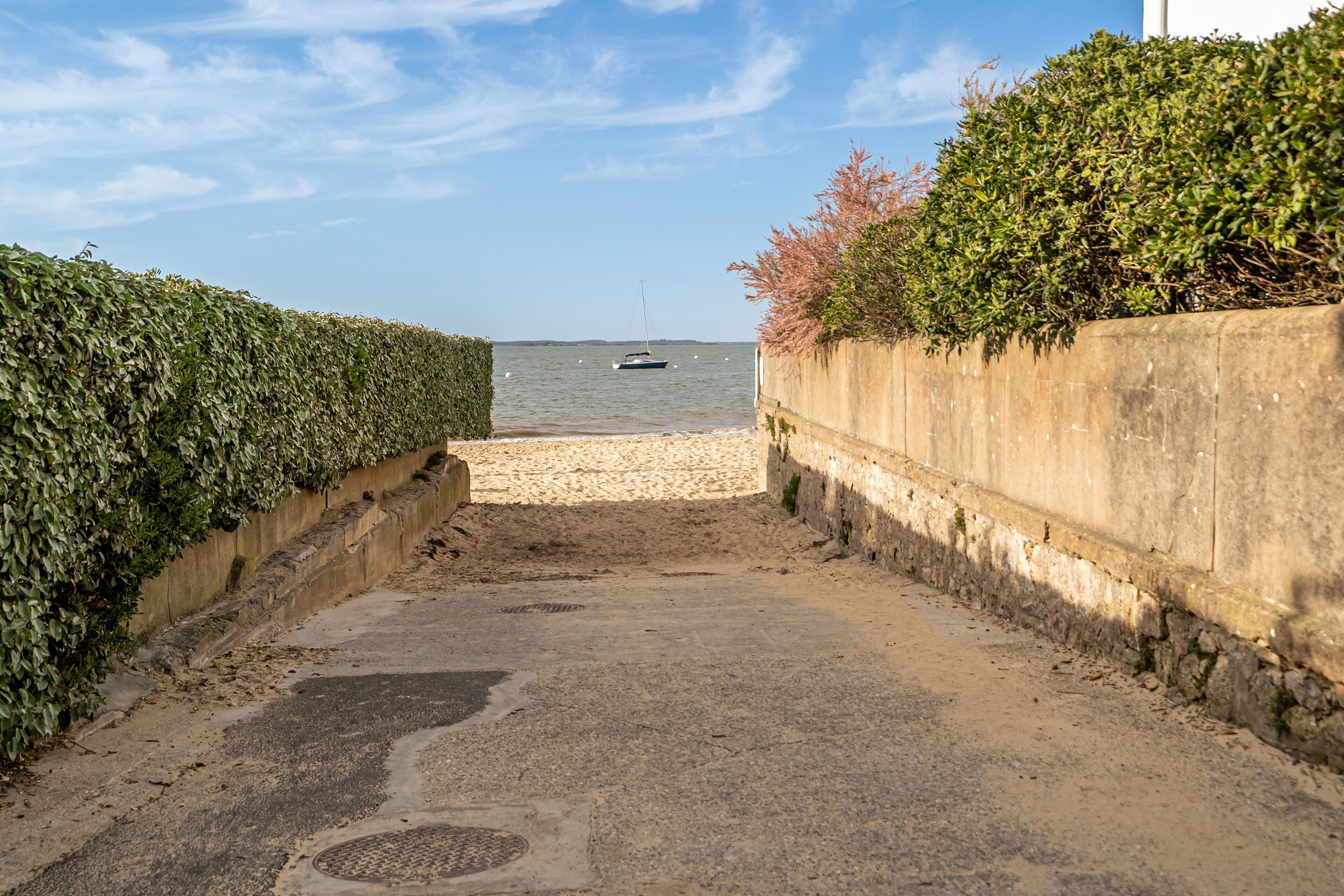 A pathway leading to a beach with a boat in the distance.