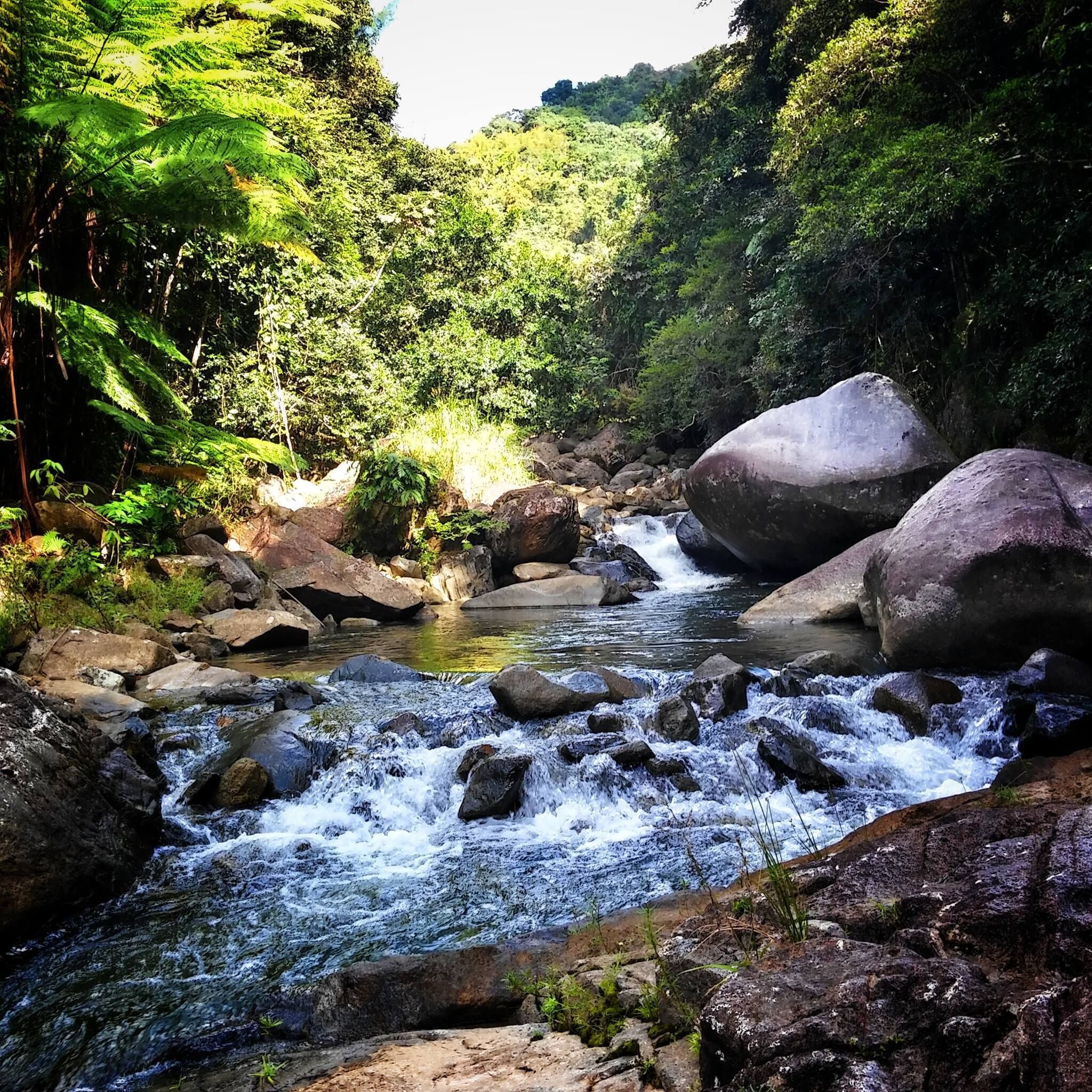 Un paysage naturel caractérisé par une rivière sinueuse, de gros rochers et une végétation luxuriante.