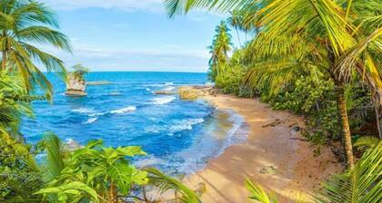 Container Pool House Manzanillo