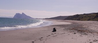 Terrazas de Alcaidesa 2416 Cosy Flat